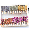 Palo Santo เปรู ดอกไม้ จักระ พฤกษชาติธรรมชาติ